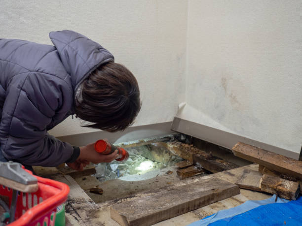 Best Industrial Mold Remediation  in Woodbury Center, CT